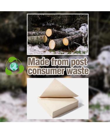 50 PCS Recycled Post-Consumer Compostable Eco Lunch Napkins - Disposable Dinner Napkin - Buy Online on GoSupps.com