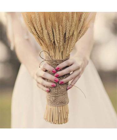 Wheat Bouquet Wheat Dried Flowers Dried Wheat Stalks Natural Dried Wheat Sheaves Fall Harvest Wheat Bouque Dried Wheat Sheaves Bundle 100Pcs Dried Grasses For Vases Dried Wheat Stalks Fall Decor - Buy Online on GoSupps.com