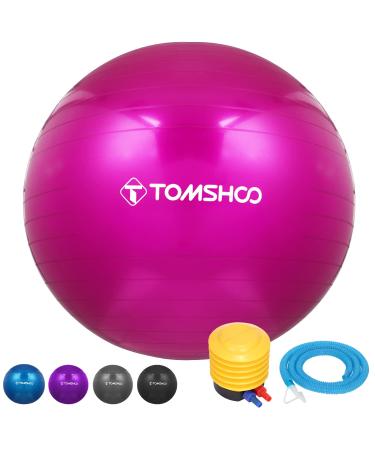 TOMSHOO Anti-Burst Yoga Ball Thickened Stability Balance Ball Pilates Barre Physical Fitness Exercise Ball 45CM  55CM  65CM  75CM Gift Air Pump (Pink 55cm)
