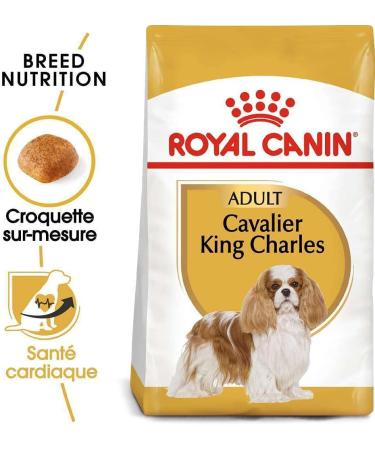 Royal Canin Cavalier King Charles Adult Dry Dog Food 1.5kg (Pack of 2) - Buy Online on GoSupps.com