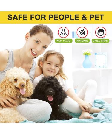 ANEWNICE Cockroach Gel Bait - Roach Repellent for Indoor/Outdoor Control - Safe for Pets & Plants - 4 Tubes 30g - Buy Online on GoSupps.com