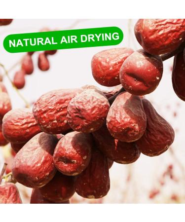 Organic 16 Oz Dried Medjool Dates in Resealable Bag - Sweet Jujube/Sugar Hong Zao - Vegan Grocery Snack Food (1 Lbs) - Buy Online on GoSupps.com