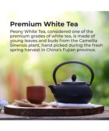 Prince Of Peace Natural Premium Peony White Tea - 100 Tea Bags - Buy Online on GoSupps.com