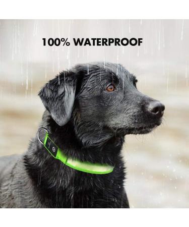 Masbrill LED Dog Collar - USB Rechargeable Waterproof & Adjustable for Small to Medium Dogs - 3 Lighting Modes - Safety Green (S 28-40cm) - Buy Online on GoSupps.com