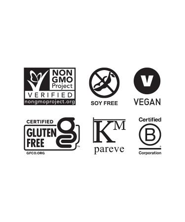Gluten Free Protein Bars - Chocolate Peanut Butter, Vegan & Dairy Free (12 Pack) - Buy Online on GoSupps.com