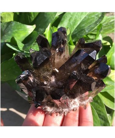 1pc Natural Crystals Smoky Quartz Cluster Freeform Reiki Stones Room Home Office Aquarium Decoration Accessories Gemstone Home Decoration (Size : 400-450g) - Buy Online on GoSupps.com