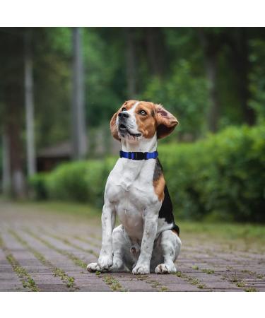 Audwud Thick Nylon Dog Collar - Classic Adjustable Neck Band for Small Medium & Large Dogs | Deep Sea Blue - XS (25-36 cm) - Buy Online on GoSupps.com