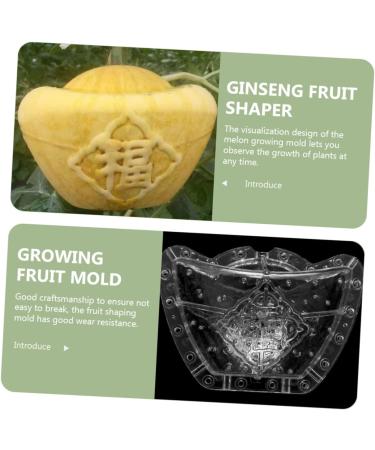 GANAZONO 4pcs Clear Fruit Mini Watermelon Plastic Fruit Square Mold Small Fruit Mold Ginseng Tool Pumpkin - Buy Online on GoSupps.com