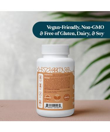 Pattern Wellness Zinc Complex Supports Immune, Skin & Digestive Health High Absorption Zinc with Vitamin C, Probiotics & Natural Blends 30 Vegan Capsules 30 Count (Pack of 1) - Buy Online on GoSupps.com