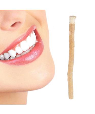 1/5 Pcs Toothbrush - Islammic Toothbrush Natural Toothbrush Sticks | Effective Middle Eastern for Gum Health Salvadora Persica Stick for Breath Freshening and Teeth Cleaning 1 Pcs
