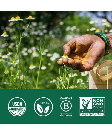 Organic India Ashwagandha Supplement - USDA Organic, Non-GMO, Vegan & Gluten-Free - 180 Capsules for Stress Relief, Mood & Vitality Support - Buy Online on GoSupps.com