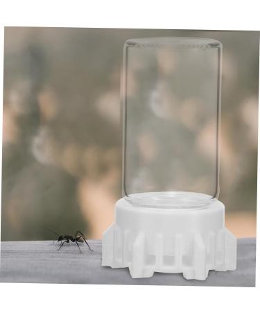 Yardwe Ant Water Dispenser - Ideal for Ant Nests & Feeding | 6.00x3.70x3.70cm | International Shipping - Buy Online on GoSupps.com