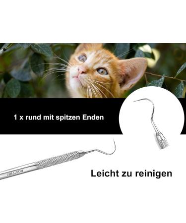 Tartar Remover for Dogs - Stainless Steel Tooth Cleaner & Scaler for Pets | Kausnack Alternative - Buy Online on GoSupps.com