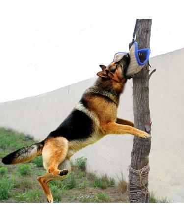 Bite Board Dog Training Equipment Protective Sleeve Arm Protector For Left Right Hand Teething Cushion Training Young Dog Medium Size Dog Training Supplies Bite Cushion Arm Protection Dog Sports Toy - Buy Online on GoSupps.com