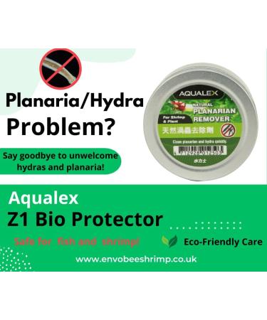 Aqualex Z1 Bio Protector without planaria and Hydra Remover Treatment for shrimp or aquariums 10 g - Buy Online on GoSupps.com