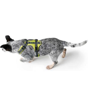 HUNTER Harness Maldon 53-71/M Lime/Grey - Premium Dog Harness for Comfortable International Shipping - Buy Online on GoSupps.com