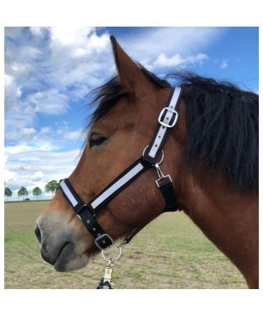 Horse for horses cold blood |Halfer XXFull stable halter |Halft adjustable 2 subject on chin straps & neck pieces (black and white XXFull (cold blood)) black and white xxfull (cold blood) - Buy Online on GoSupps.com