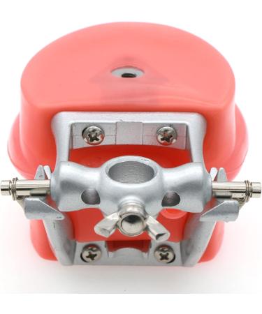Buy Lmeili Dental Typodont Model with 32 Removable Teeth & Cheek Simulation - Ideal for Teaching Restorative Techniques and Anatomy Studies - Buy Online on GoSupps.com