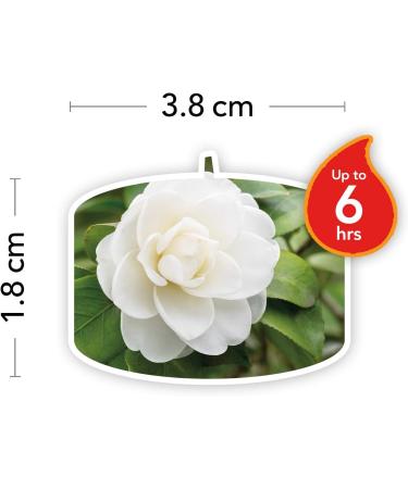 Yankee Candle Camellia Blossom Scented Tea Lights | Garden Hideaway Collection | Pack of 12 - Buy Online on GoSupps.com