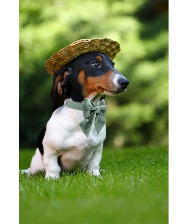 Shop Lionet Paws XL Dog Collar - Comfortable Silk with Removable Fly for Large Dogs (Neck 40-66cm) - Grassy Design - Buy Online on GoSupps.com
