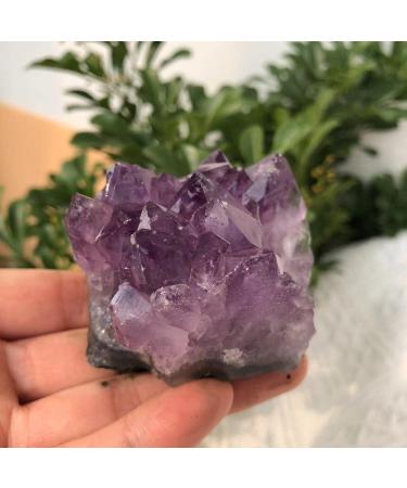 Crystal Rough Natural Crystal Rough Natural Geode Amethyst Rough Stone Crystal Cluster QuartzSpecimen Suitable for Furniture Decoration (Size : 100g) - Buy Online on GoSupps.com