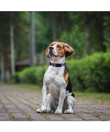 Audwud Thick Nylon Adjustable Dog Collar - Classic Neck Band for Small Medium & Large Dogs - 4 Sizes (L: 42-63 cm) - Purple - Buy Online on GoSupps.com