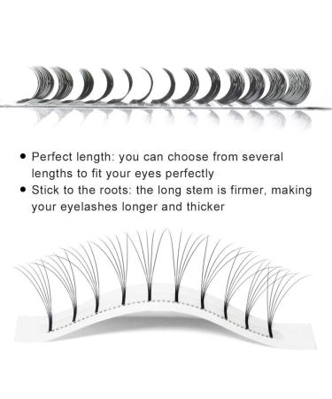 5D Volume Eyelash Compartments - Premade Lash Fans for Extensions | 3-8D Silk Flasher 0.07/0.10 Thickness C/D Curl 10-18mm | International Shipping - Buy Online on GoSupps.com