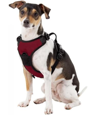 Littlearth NCAA Arkansas Razorbacks Front Clip Pet Harness - Small | Team Color Unisex-Adult - Buy Online on GoSupps.com