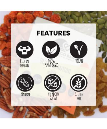 San Diego Bar - Raw Vegan Gluten Free Meal Bar | 10g Protein No Added Sugars | Pecan & Pumpkin Seeds - 4 Pack - Buy Online on GoSupps.com