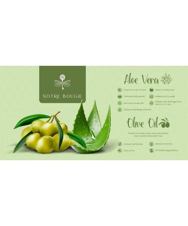 Coastal Nights Travel Toiletries Sets in Bulk | 100pcs | Shampoo Conditioner Body Wash Lotion & Soap for Hotels & AirBnBs - Buy Online on GoSupps.com