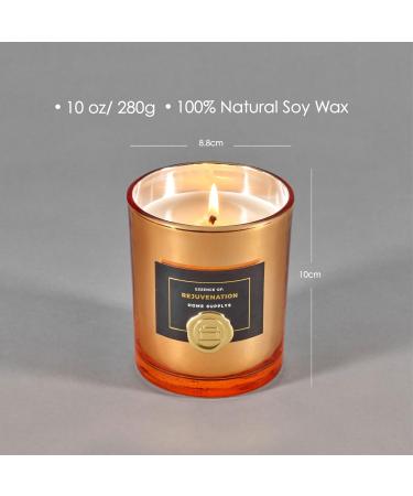 Organic Large Tropical Candle: Guava & Lychee Rejuvenation (280g/60hrs) | Vegan Soy Wax Blend with Exotic Flowers | Ideal Gift for Women & Men | Home Supplys - Buy Online on GoSupps.com