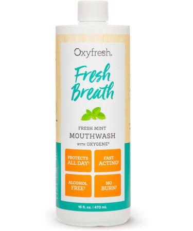 Breath Fresh Mint Mouthwash Dentist Recommended for Long-Lasting Fresh Breath & Healthy Gums | Alcohol & Fluoride Free (1-16 oz Bottle) 16 Fl Oz (Pack of 1) - Buy Online on GoSupps.com