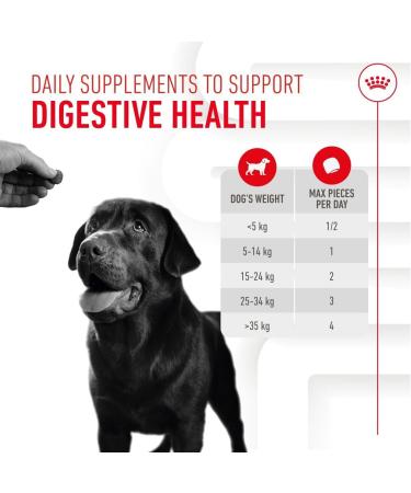 Royal Canin Dog Supplement for Digestion Soft Chews 160g - Buy Online on GoSupps.com
