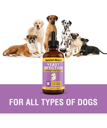 Yeast Infection Treatment for Dogs | 4 oz Soothing Relief for Itching Ear Infections & Inflammation - Buy Online on GoSupps.com