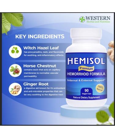 Premium Natural Hemorrhoid Formula Hemorrhoids Treatment Comfort & Wellness Ease Burning Irritation & Discomfort Dietary Supplement 90 Caps 1 Bottle (90 Capsules) - Buy Online on GoSupps.com