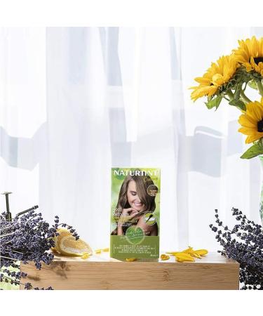 Naturtint Root Retouch Shades Dark Blonde 165 ml - Pack of 1 - Buy Online on GoSupps.com