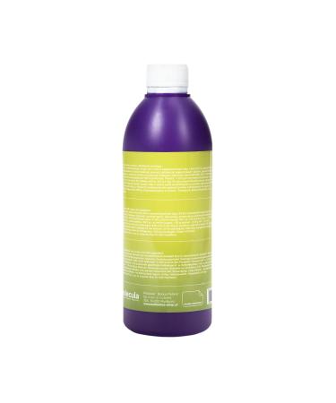 500ml Kiwi Bubble Tea Syrup | 100% Vegan Gluten-Free | Natural Fruit Drink Concentrate | Perfect for Desserts & Beverages - Buy Online on GoSupps.com