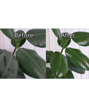 Organic Neem Oil Plant Spray - Cold Pressed 8 oz Bottle - Buy Online on GoSupps.com