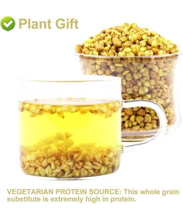 Flower 2 (150G-Yellow Buckwheat Tea) - Buy Online on GoSupps.com