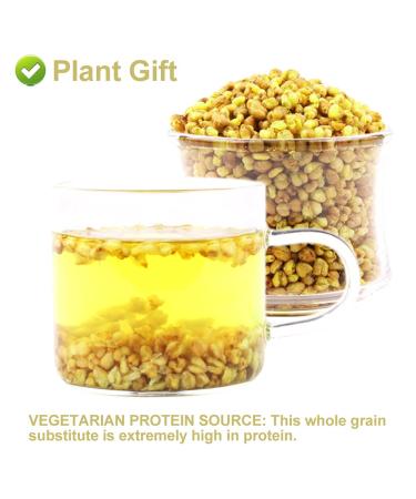 Plant Gift Yellow Buckwheat Tea 150g - Caffeine-Free Rich in Amino Acids Authentic Taste - Buy Now for Health Benefits! - Buy Online on GoSupps.com