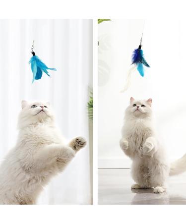 Shop Songway Interactive Cat Toy Pen - Retractable Feather Rod with Bells & 6 Replacement Springs | Ideal for Engaging & Entertaining Cats - Blue - Buy Online on GoSupps.com