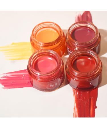 All natural lip balm - for dry, chapped, sensitive lips | with grassfed tallow, Castor oil, CoQ10, Hyaluronic Acid and Silk - Ultra Moisturizing, Conditioning, Organic (0.4 fl oz/12 mL) (Untinted) - Buy Online on GoSupps.com