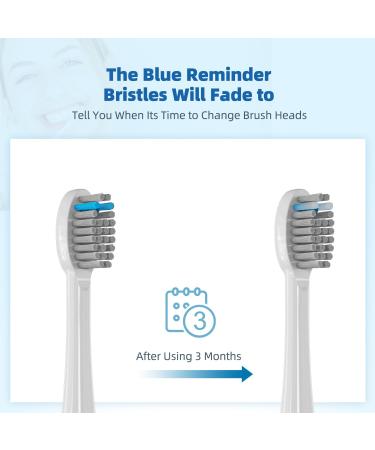 Replacement Flossing Toothbrush Heads (6-pc) for Waterpik Sonic Fusion 2.0 | Compatible with SF-01 SF-02 SF-03 & SF-04 | Pisonicleara SF-White - Buy Online on GoSupps.com