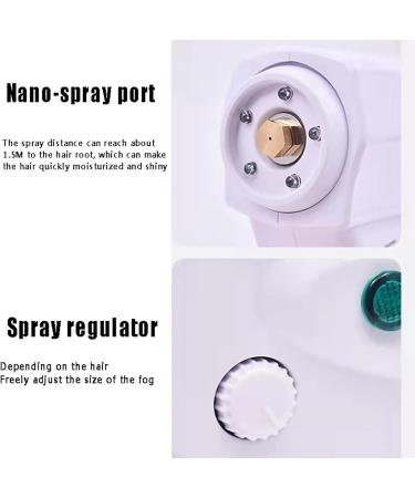 Portable Hair Nano Steamer Nano Spray Steamer with 260ml Liquid Container 0.26 nm Vapor Fog Molecules Adjustable Intensity and Detachable Nozzle for Home Office Hotel Hospital - Buy Online on GoSupps.com