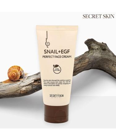 SECRET SKIN Snail + EGF Perfect Cream | Wrinkle Bounce & Firming Korean Skin Care - Fine Line Treatment (#02 Face Cream - Buy Online on GoSupps.com
