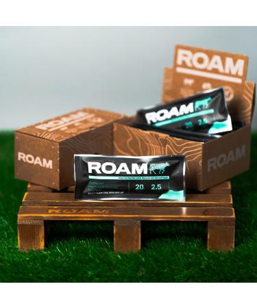ROAM Natural Protein Bars Meal Replacement Nutrition Bars High Protein And Low Carb Ideal For Healthy Diet (Original 6 Count (Pack of 1)) Original 6 x 45g Bars - Buy Online on GoSupps.com