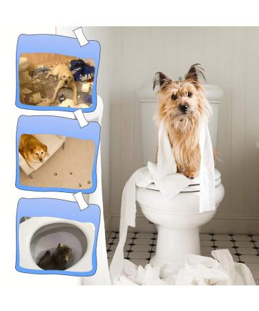 Baby Proofing Toilet Locks - Prevent Toddlers and Pets from Opening Toilet Lid - Easy Installation - Child Safety Seat Locks (2 Pack) - Buy Online on GoSupps.com