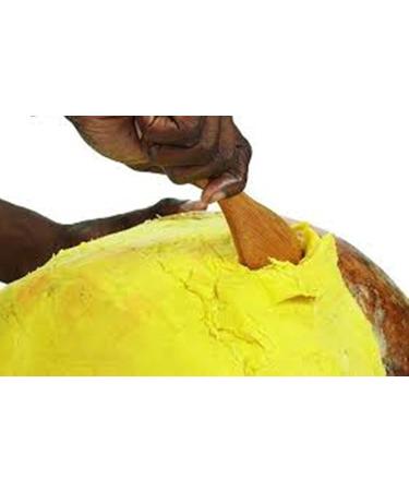 Grade AAA Raw Unrefined African Shea Butter (16 Oz) - Premium Shea Butter from Ghana for Acne, Eczema, Stretch Marks - 1 Pound Pack for Best Results - Buy Online on GoSupps.com