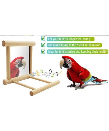 NINGVIHE Bird Mirror Bird Swing Parrot Cage Toys Bird Toy for Parrot Parakeets Conures Cockatiels Cage Swing Wooden Fun Play Toy for Birds (2 PACK) - Buy Online on GoSupps.com