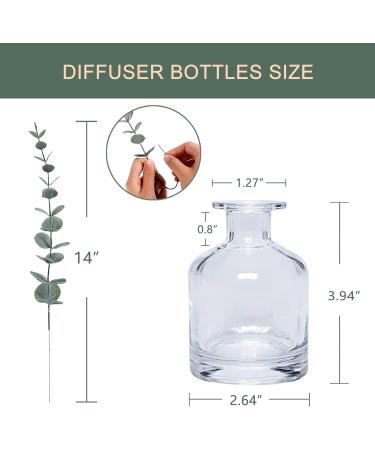 HOSSIAN Reed Diffuser Bottles - Empty Glass Diffuser Bottles 150ml (5 FL Oz) - Set of 3 for Home Fragrance | International Shipping Available - Buy Online on GoSupps.com